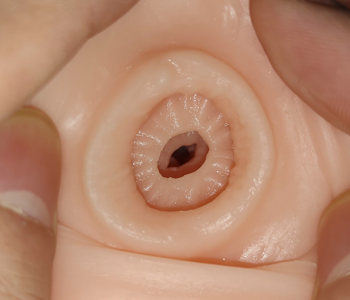 IkebukuroToys OL女教师飞机杯评测:环形肉褶+高密度颗粒组合技3 4e072718c4180525