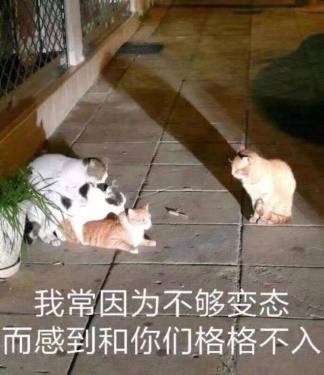 “出门右转才是儿童玩具区,谢谢!”—左右脑mini(中低刺激)评测1 “出门右转才是儿童玩具区,谢谢!”—左右脑mini(中低刺激)评测1