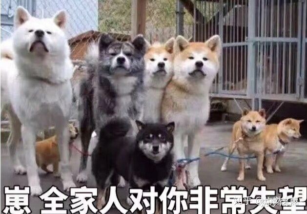 “重生之王牌榨汁机降临??”—工口姐姐2代评测9 “重生之王牌榨汁机降临??”—工口姐姐2代评测9