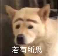 白天与黑夜的刺激感,你的真爱蜜莉酱测评9 白天与黑夜的刺激感,你的真爱蜜莉酱测评9
