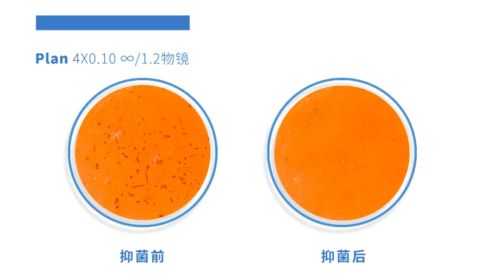 一款专为女性设计,能抑菌的润滑液6 一款专为女性设计,能抑菌的润滑液6