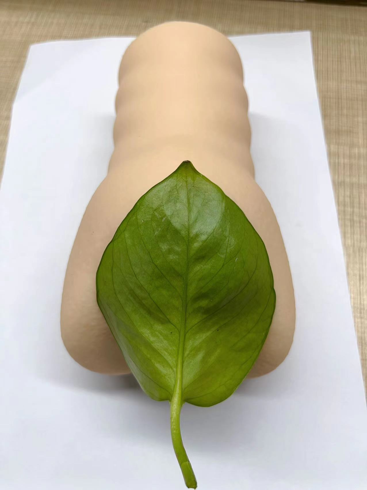 名器INGTOYS莉莎姐妹花评测—欲女纯爱争宠，取经猎手！7