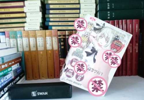 极具性价比的大玩具——撸撸杯欲望萌娘开箱评测1 极具性价比的大玩具——撸撸杯欲望萌娘开箱评测1