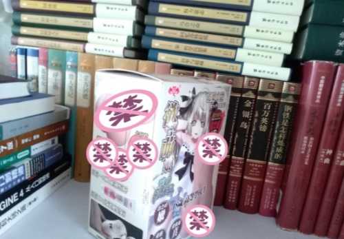 极具性价比的大玩具——撸撸杯欲望萌娘开箱评测2 极具性价比的大玩具——撸撸杯欲望萌娘开箱评测2