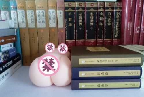 极具性价比的大玩具——撸撸杯欲望萌娘开箱评测7 极具性价比的大玩具——撸撸杯欲望萌娘开箱评测7