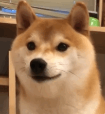 PULSE Solo Cute-b情趣按摩棒测评9 PULSE Solo Cute-b情趣按摩棒测评9