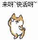 “Zui强人造人”-深田咏美的秘密,赌你撑不过三分钟!4 “Zui强人造人”-深田咏美的秘密,赌你撑不过三分钟!4