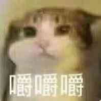 汤玛托易士-“可爱的白虎妹妹”(慢玩)评测!主打蓬松感的“冻豆腐”,肉感十足的小名器!21 汤玛托易士-“可爱的白虎妹妹”(慢玩)评测!主打蓬松感的“冻豆腐”,肉感十足的小名器!21