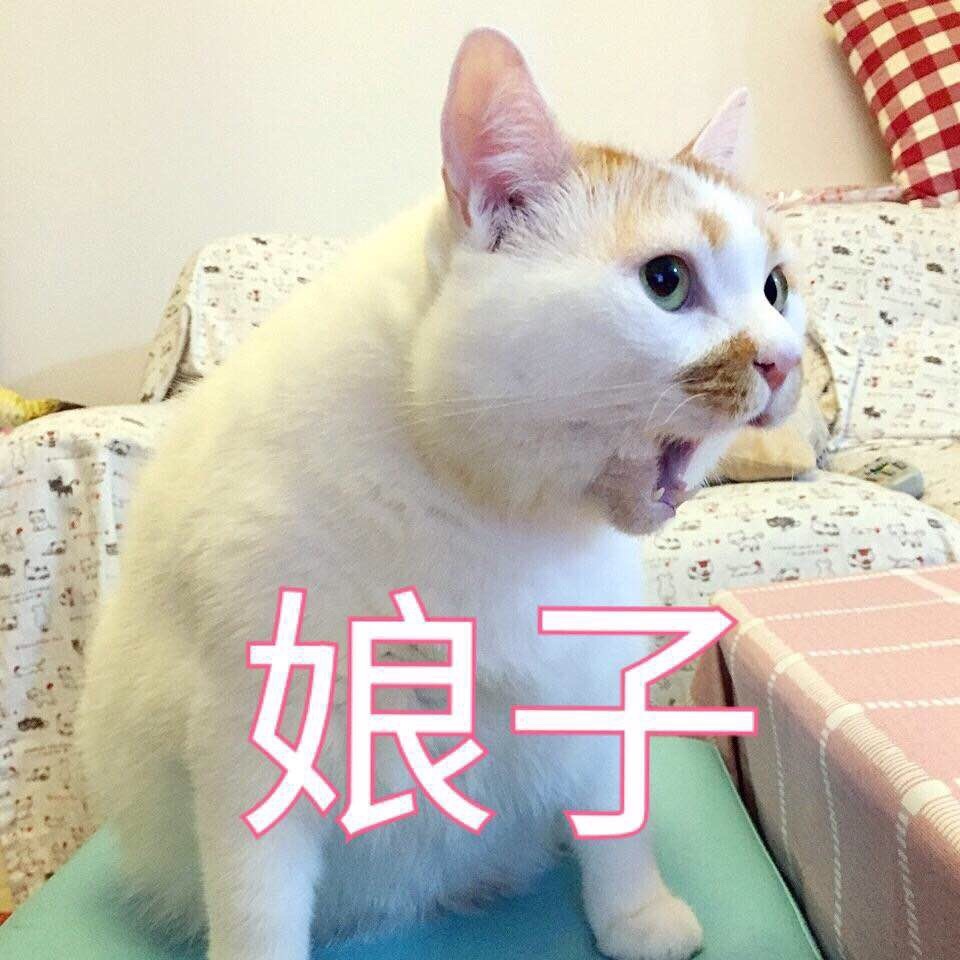 YUU极上双穴飞机杯名器评测 – “这样的女朋友,你喜欢吗”6 YUU极上双穴飞机杯名器评测 – “这样的女朋友,你喜欢吗”6