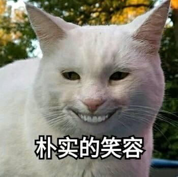 对子哈特 工口姐姐二代飞机杯名器评测 – 大姐姐的深夜诱惑10 对子哈特 工口姐姐二代飞机杯名器评测 – 大姐姐的深夜诱惑10