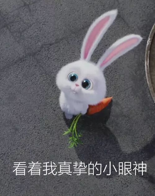 EXE奶瓶1代飞机杯刺激版评测4