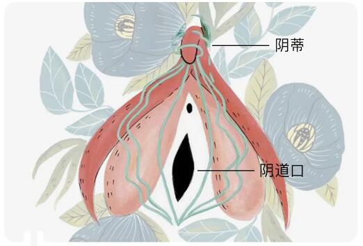 情趣玩具测评:用它测试你到底是不是性冷淡4 情趣玩具测评:用它测试你到底是不是性冷淡4