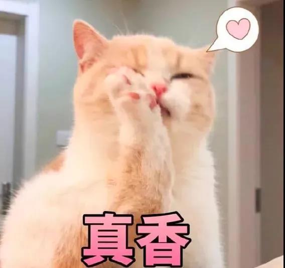 仙女测评┃派蒂菈跳动激情1 仙女测评┃派蒂菈跳动激情1